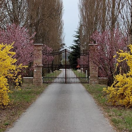 Agriturismo Corte Rocca San Giorgio di Mantova Buitenkant foto