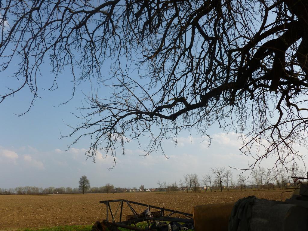 Agriturismo Corte Rocca San Giorgio di Mantova Buitenkant foto