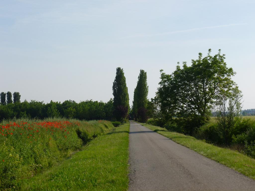 Agriturismo Corte Rocca San Giorgio di Mantova Buitenkant foto