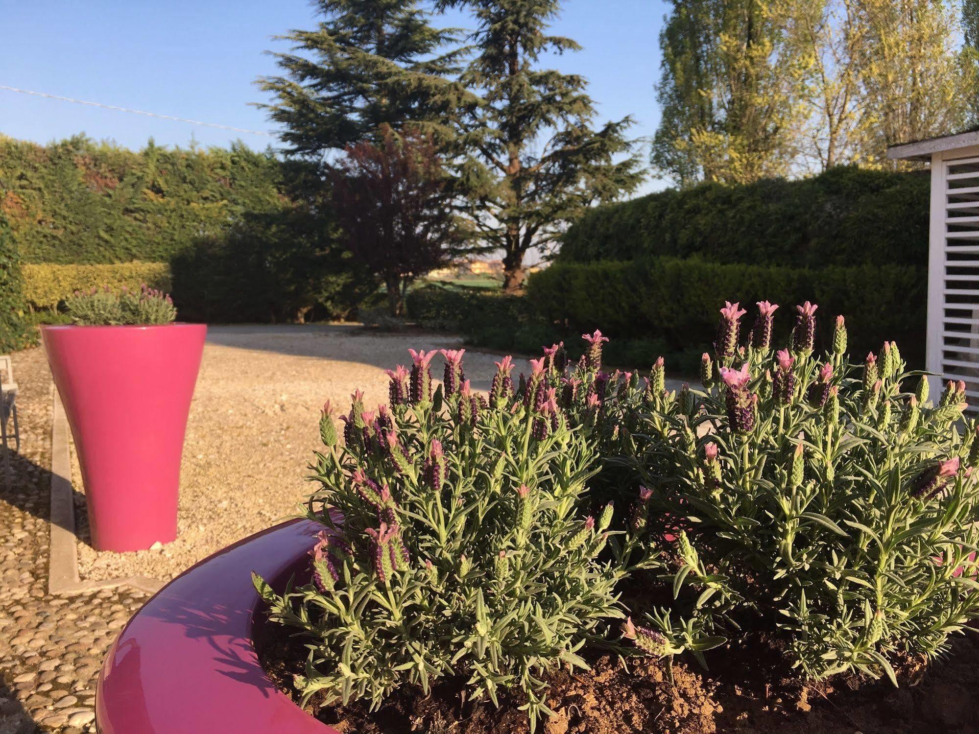 Agriturismo Corte Rocca San Giorgio di Mantova Buitenkant foto